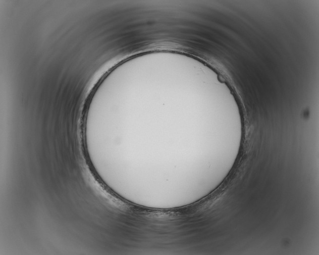 X0000116330947200912221417