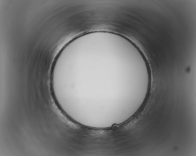 X0000116330949200912221417