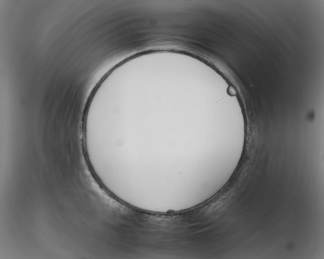 X0000116330951200912221417