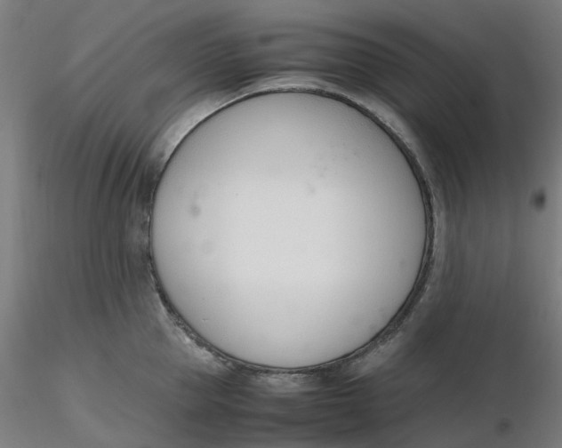 X0000116330953200912221417