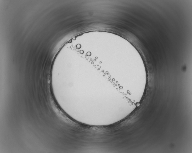 X0000116330954200912221417