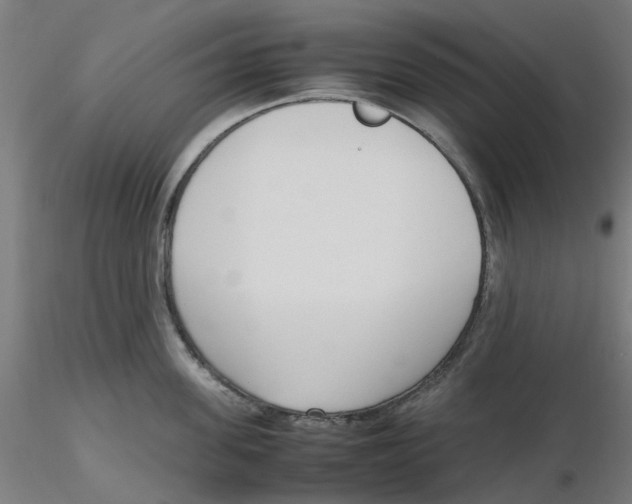 X0000116330955200912221417