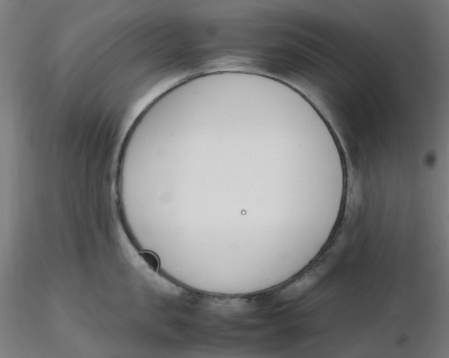 X0000116330957200912221417