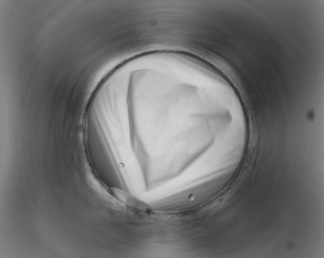 X0000116330958200912221417