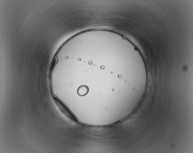 X0000116330959200912221417