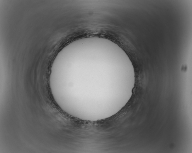 X0000116330961200912221416