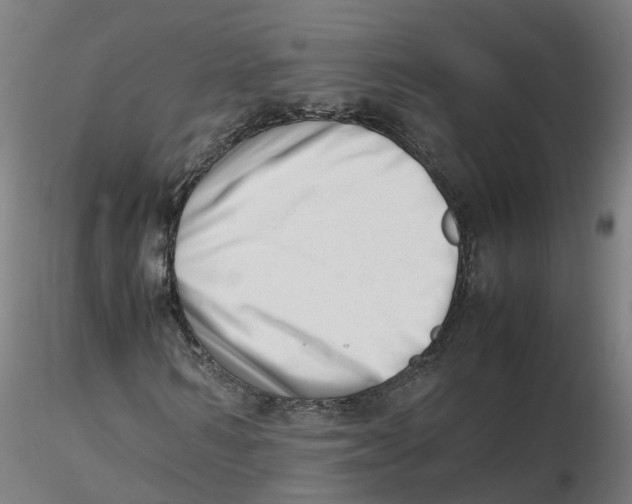 X0000116330962200912221416