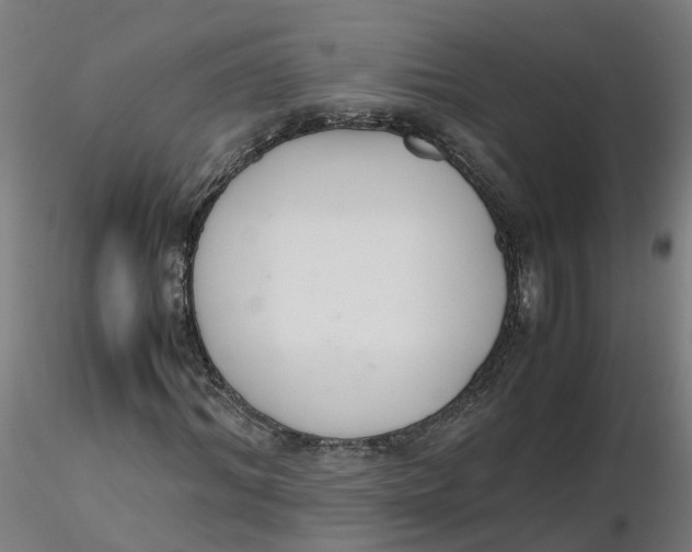 X0000116330964200912221416