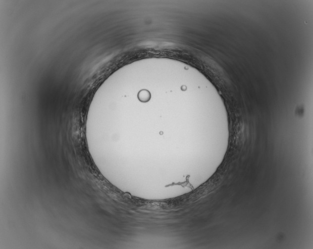 X0000116330966200912221416