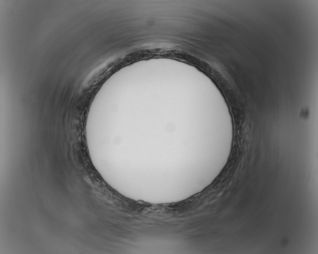 X0000116330967200912221416