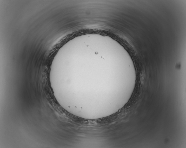 X0000116330968200912221416