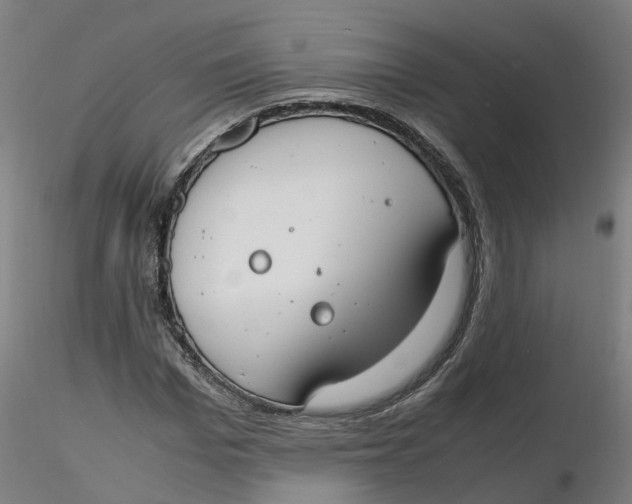 X0000116330969200912221416