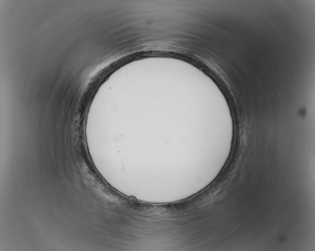 X0000116330971200912221416