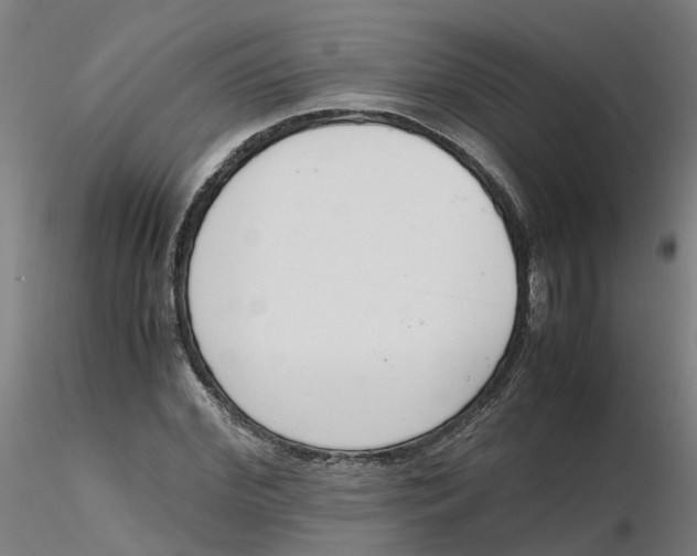 X0000116330972200912221416