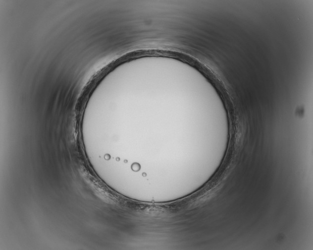 X0000116330974200912221416