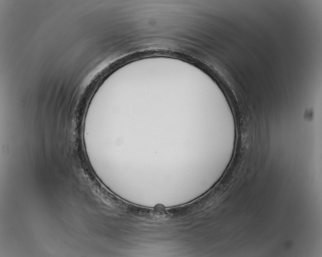 X0000116330975200912221416