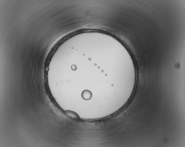 X0000116330976200912221416