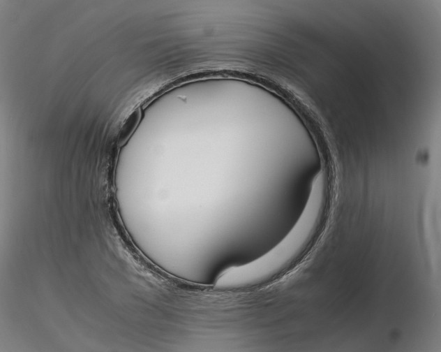 X0000116330977200912221416