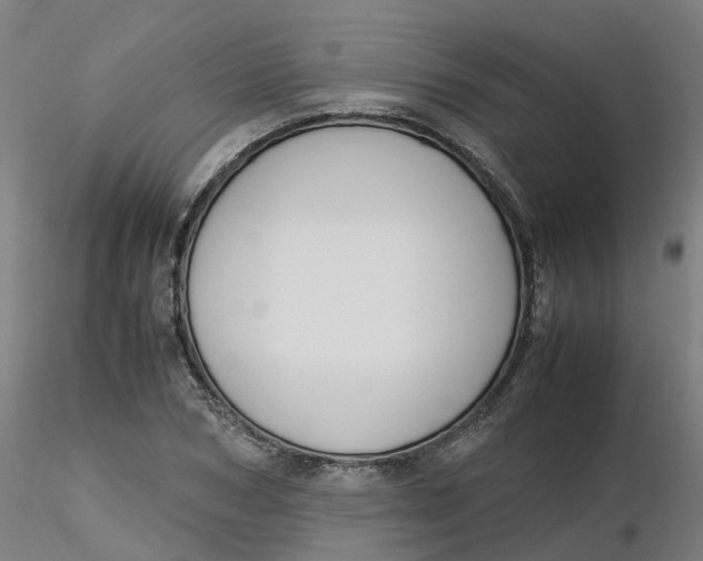 X0000116330978200912221416