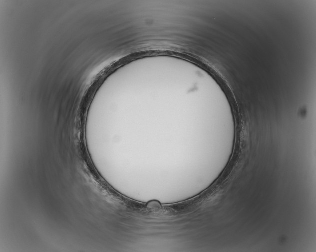 X0000116330979200912221416