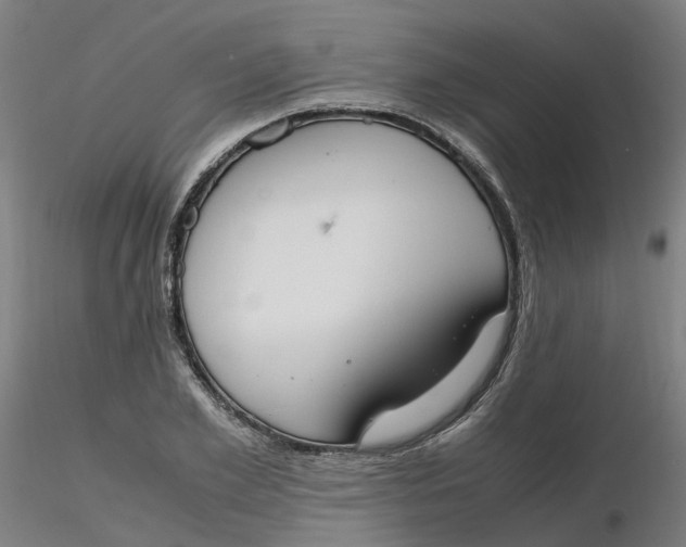 X0000116330981200912221416