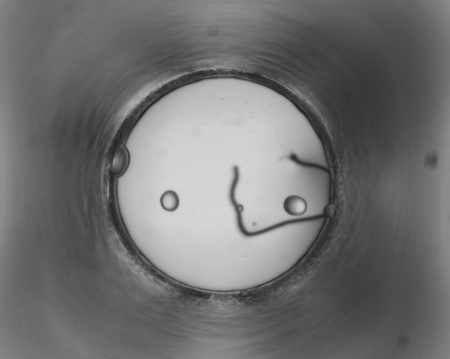 X0000116330983200912221416