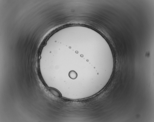 X0000116330984200912221416