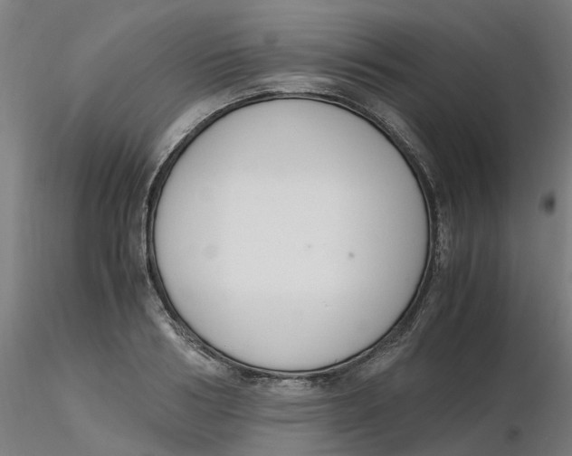 X0000116330986200912221416