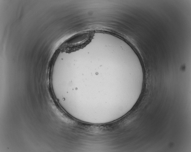 X0000116330987200912221416