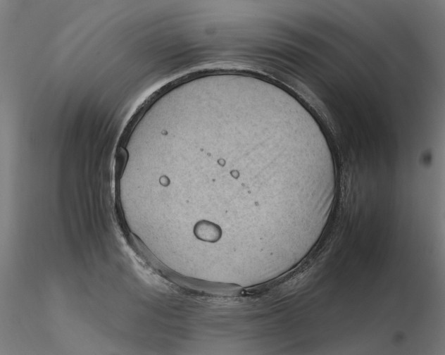 X0000116330988200912221416