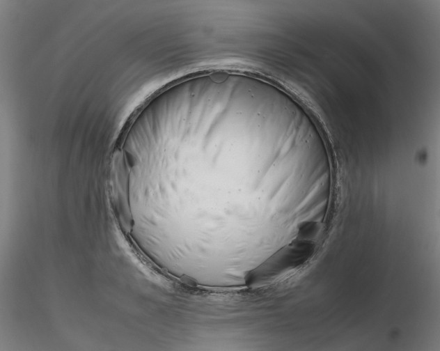 X0000116330989200912221416