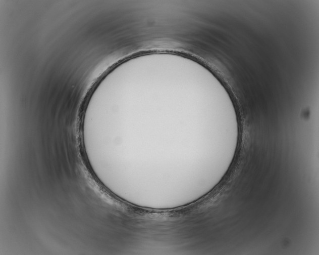 X0000116330990200912221416