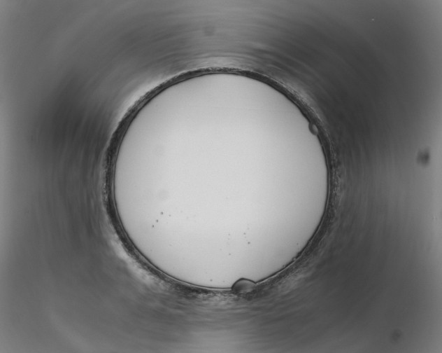 X0000116330991200912221416