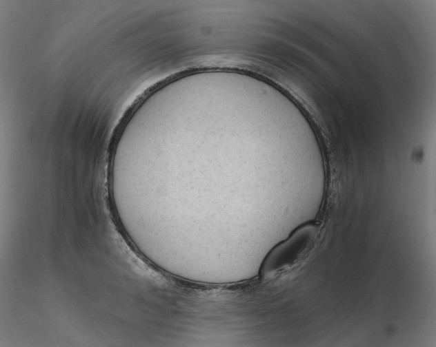 X0000116330992200912221416