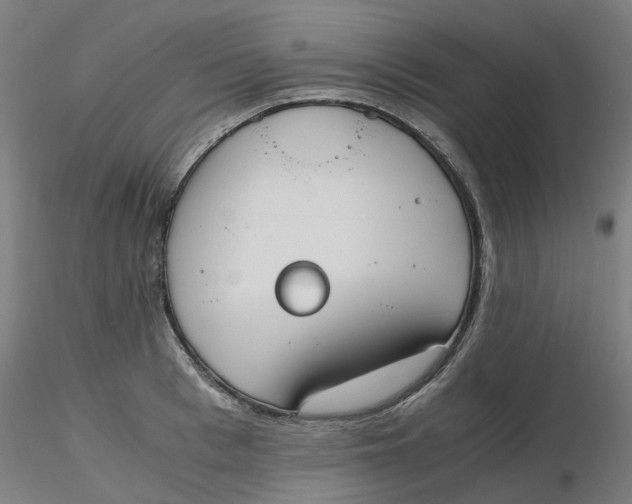 X0000116330993200912221416