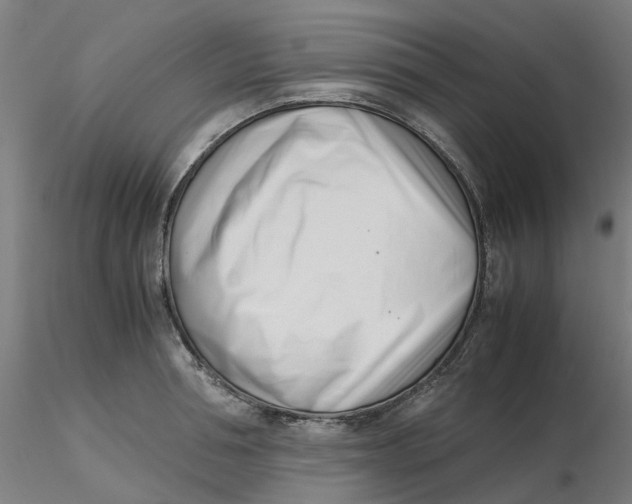 X0000116330994200912221416