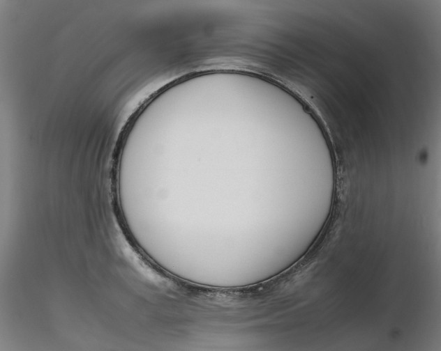 X0000116330995200912221416