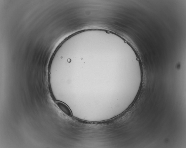 X0000116330996200912221416