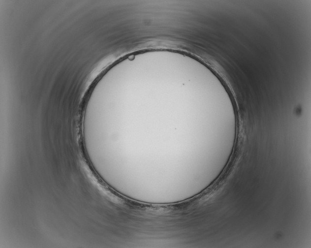 X0000116330997200912221416