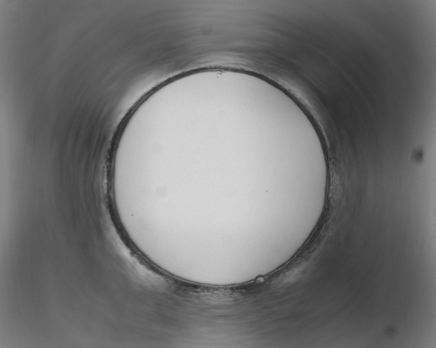 X0000116330999200912221416