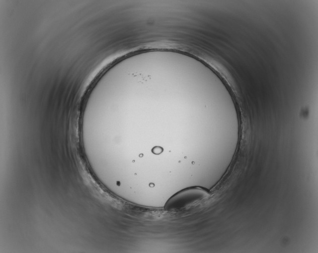 X0000116331000200912221416