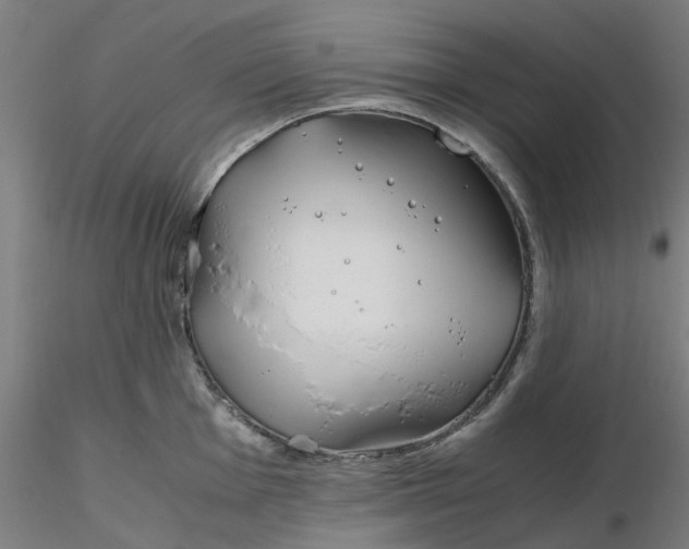 X0000116331001200912221416