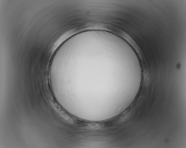 X0000116331002200912221416