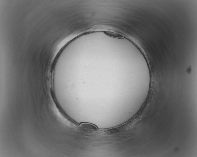 X0000116331003200912221416