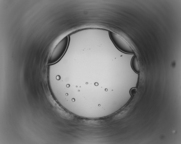 X0000116331004200912221416