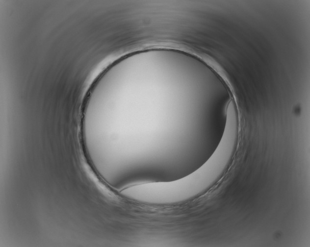 X0000116331005200912221416