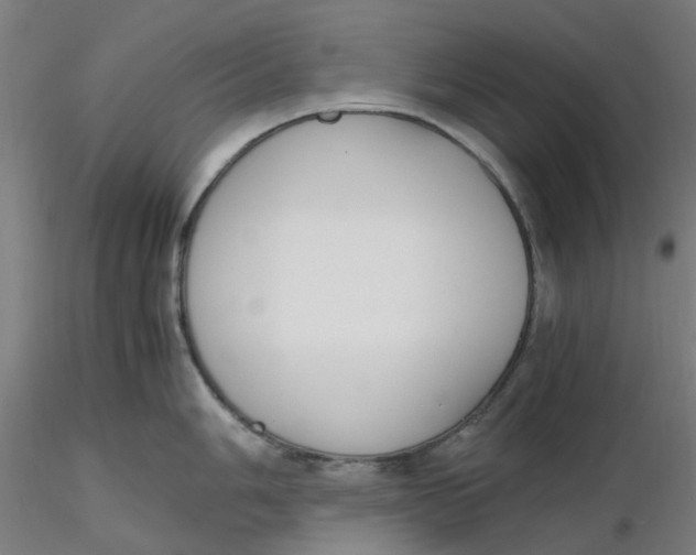 X0000116331006200912221416