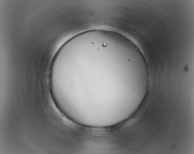 X0000116331007200912221416