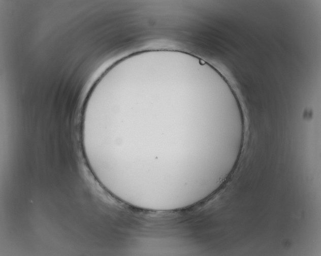 X0000116331008200912221416