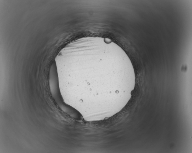 X0000116331009200912221415